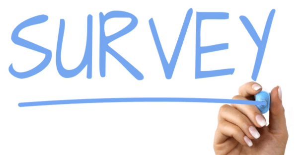 Simple Team Surveys